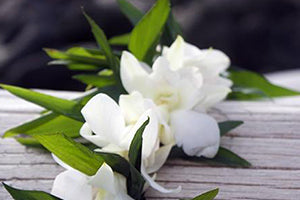 New Lei selection
