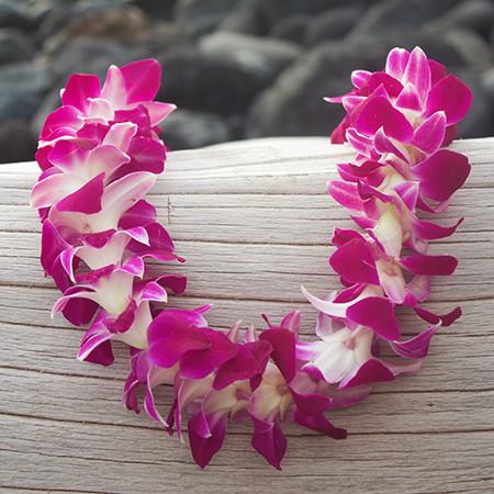 Single Orchid Lei
