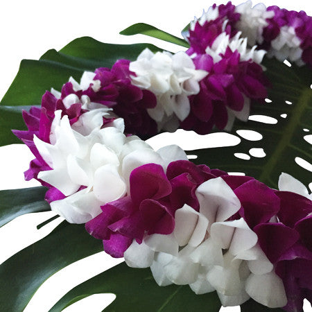graduation leis, leis cheap for graduation, lei from hawaii, Leis in Bulk, real hawaiian leis, leis from hawaii, fresh leis delivered, leis shipped to mainland, fresh orchid leis.