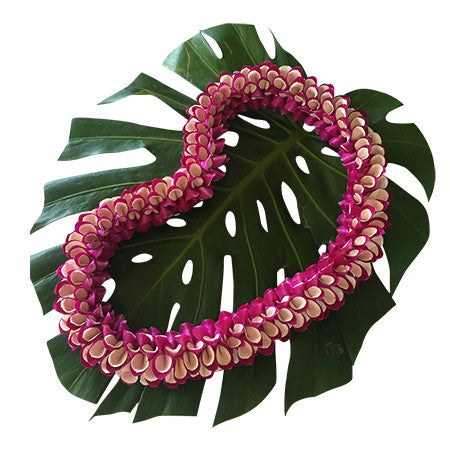 Manakai-OLE1