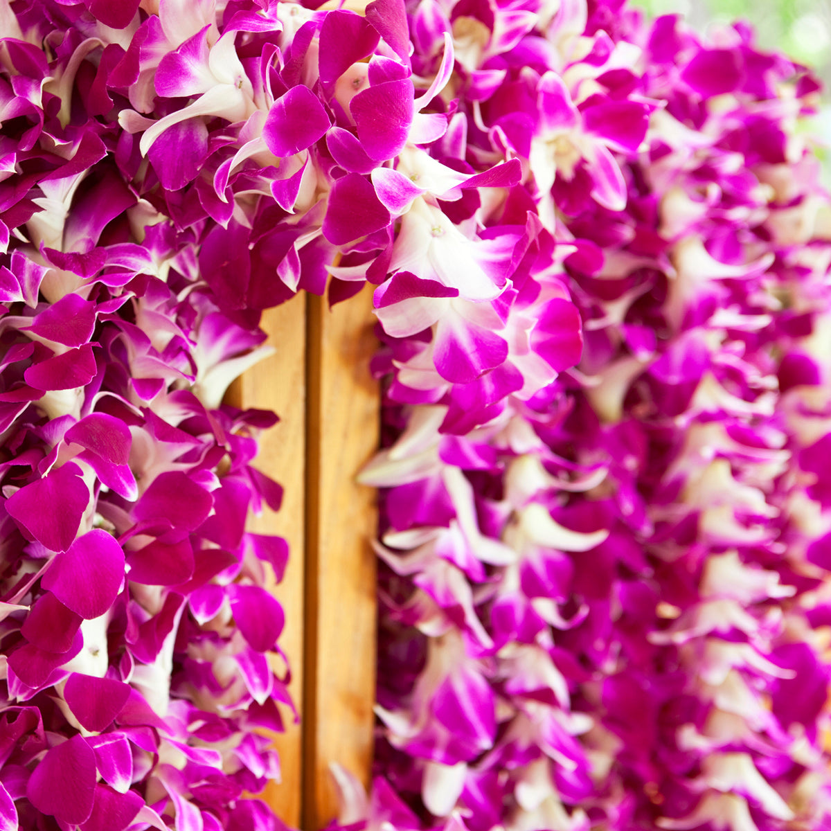 Purple Orchid Leis Bulk - 100 Leis FREE SHIPPING