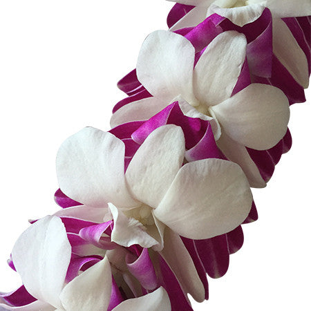 hawaiian orchid lei