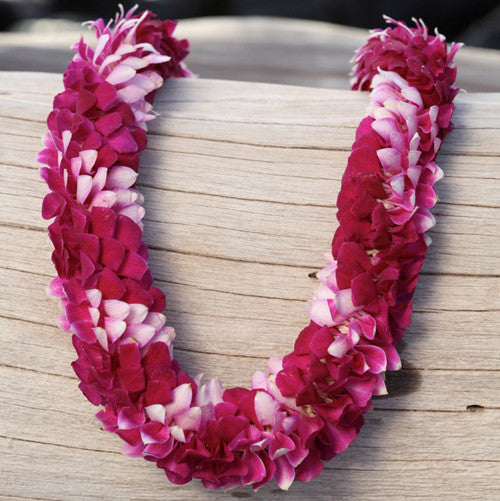 Fusion Spiral Lei (Q1)