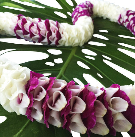 Koa Lei