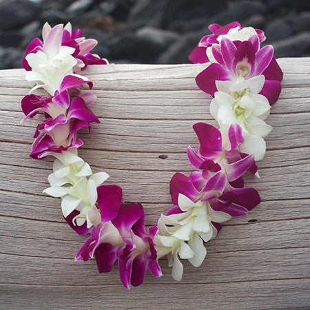 orchid leis bulk, fresh leis, orchid leis, hawaiian leis, fresh leis shipped, hawaiian leis delivered, graduation leis from hawaii shipped, fresh leis delivered